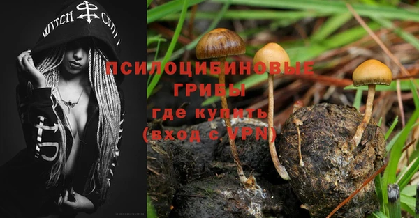 ALPHA PVP Куйбышев