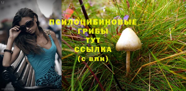 эйфоретик Кулебаки